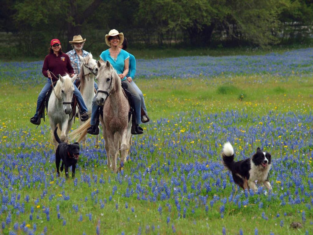 BlissWood Bed and Breakfast Ranch Main image 2